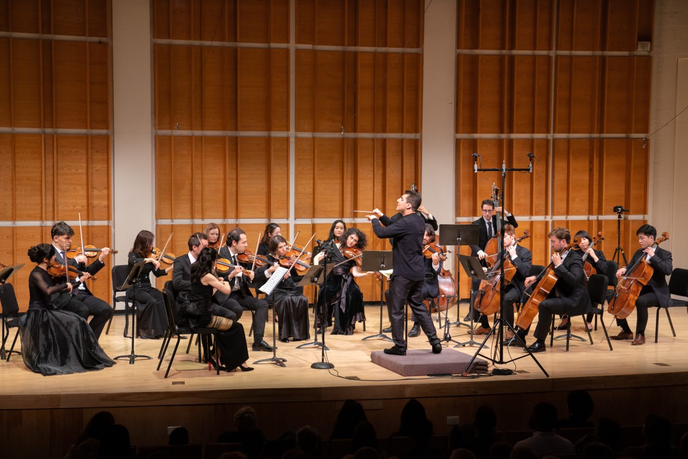 Pegasus: The Orchestra